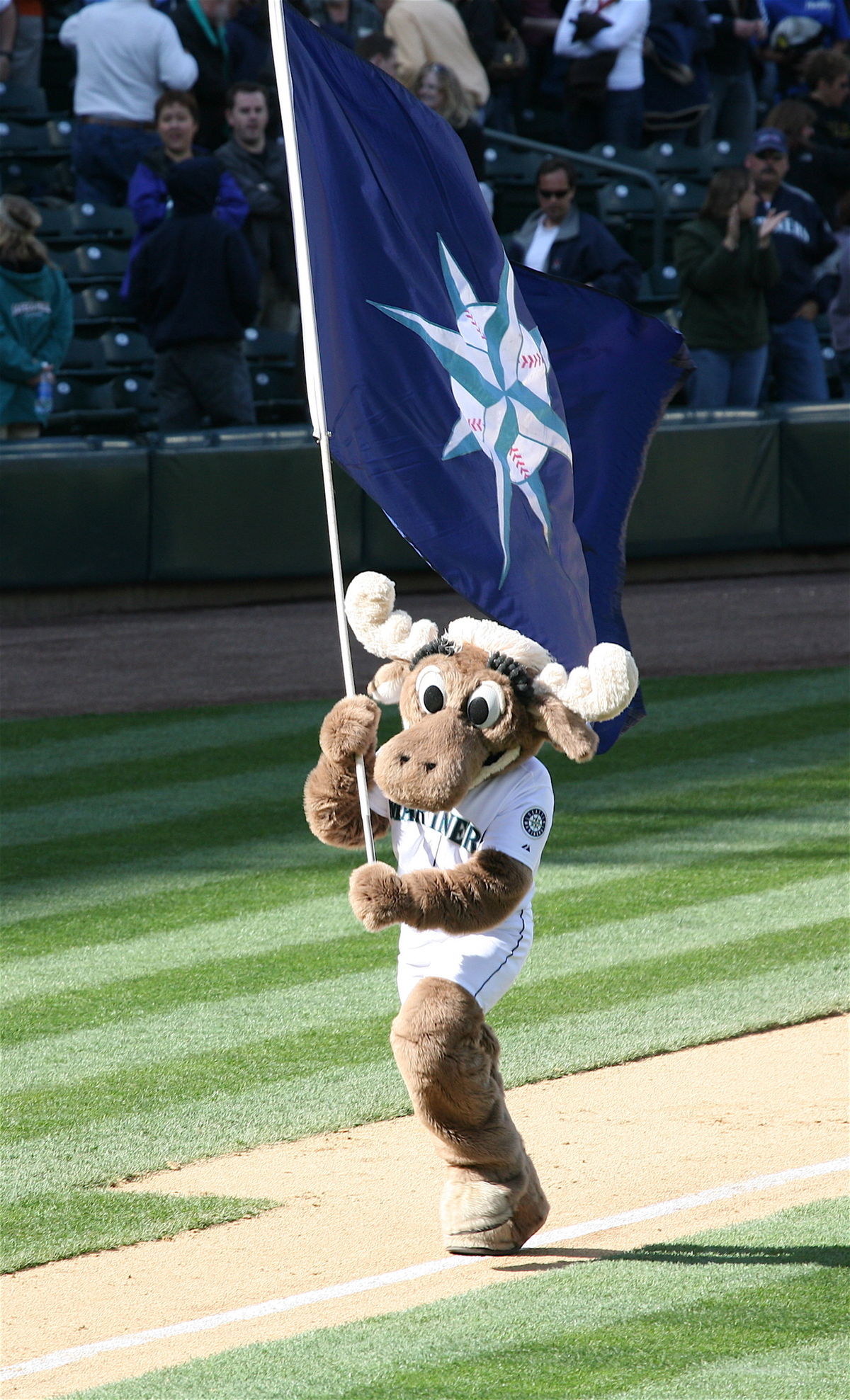 the Mariner Moose holding a mariner flag.